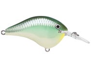 Rapala DT6 Blue Back Herring 