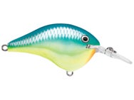 Rapala DT6 Caribbean Shad 