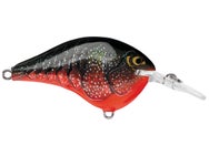 Rapala DT6 Series Crankbaits 