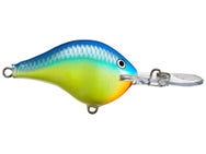 Rapala DT8 Caribbean Shad 
