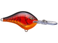 Rapala DT8 Series Crankbaits 