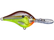Rapala DT8 Hot Mustard 