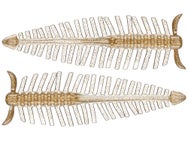 RAID Japan Peller 6pk