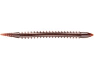 Roman Made Prologue Worm
