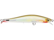 Rapala RipStop Jerkbait Houdini 09