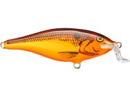 Rapala Shallow Shad Rap 7 Crankbaits