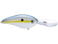 Strike King 6XD Hard Knock Crankbaits