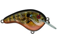 Strike King Chick Magnet Jr. Flat Sided Crankbait
