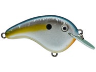 Strike King Chick Magnet Jr. Flat Sided Crankbait