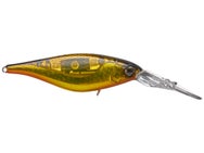 Shimano Enber 60SP Black Gold