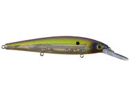 Strike King KVD Elite 300 Deep Jerkbait
