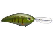 Strike King 6XD Elite Crankbaits 