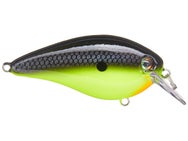 Strike King KVD Elite 1.5 Squarebill Crankbaits 