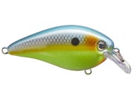 Strike King KVD Elite 1.5 Squarebill Crankbaits 