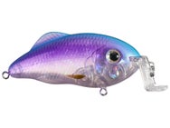Strike King Hybrid Hunter Shallow Jr. Ghost Purple