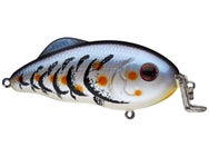 Strike King Hybrid Hunter Shallow Jr. Blue Craw