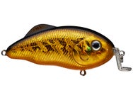 Strike King Hybrid Hunter Shallow Jr. Gold Black