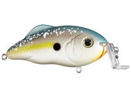 Strike King Hybrid Hunter Shallow Jr. Sexy Shad 2.0