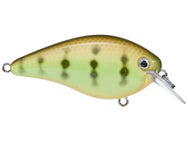 Strike King KVD 1.5 Hard Knock Squarebill Crankbait