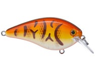 Strike King KVD 1.5 Hard Knock Squarebill Crankbait