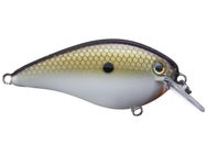 Strike King KVD 2.5 HC Squarebill Silent Crankbait 