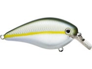 Strike King KVD 2.5 HC Squarebill Silent Crankbait 