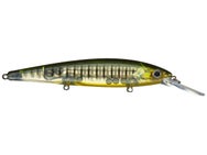 KVD Deep Jerkbait Phantom Perch