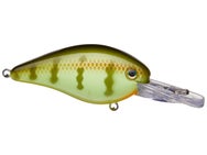 Strike King KVD 1.5 Deep Diver Squarebill Crankbaits