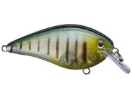 Strike King KVD 1.5 HC Squarebill Silent Crankbait 