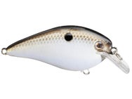 Strike King KVD 1.5 HC Squarebill Silent Crankbait 
