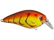 Strike King KVD 1.5 HC Squarebill Silent Crankbait 