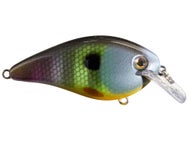 Strike King KVD 1.5 HC Squarebill Silent Crankbait 