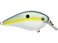 Strike King KVD 1.5 HC Squarebill Silent Crankbait 