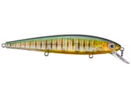 Strike King KVD 300 Jerkbait