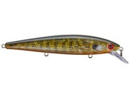 Strike King KVD 300 Jerkbait