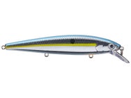 Strike King KVD 300 Jerkbait