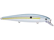 Strike King KVD 300 Jerkbait
