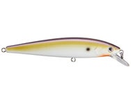 Strike King KVD 200 Jerkbait