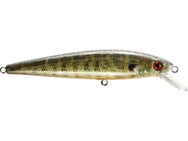 Strike King KVD 200 Jerkbait
