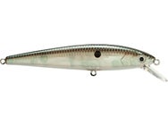 Strike King KVD 200 Jerkbait