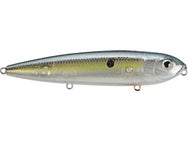 Strike King KVD Sexy Dawg 