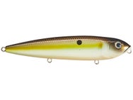 Strike King KVD Sexy Dawg 