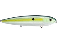 Strike King KVD Sexy Dawg 