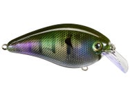 Strike King KVD Elite 8.0 Squarebill Crankbaits 