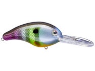 Strike King Pro Model Series 5 Crankbaits