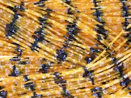 Skirts Unlimited Half Wire Skirts 10pk