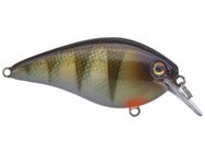 Strike King KVD 1.0 HC Squarebill Silent Crankbait 