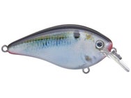 Strike King KVD 1.0 HC Squarebill Silent Crankbait 