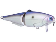 Strike King Wake Shad 2.0 Wakebait 