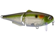 Strike King Wake Shad 2.0 Wakebait 